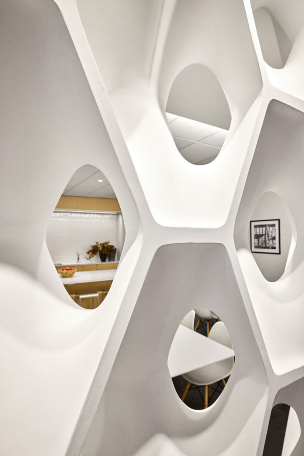 HOK Chi 207