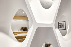 HOK Chi 207