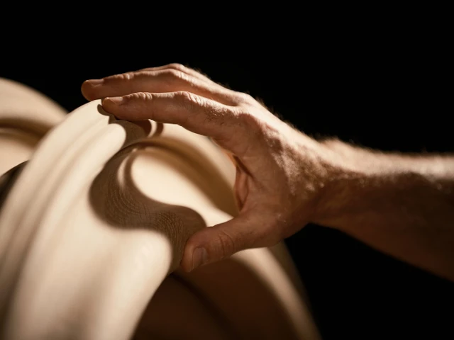 Hp image 1